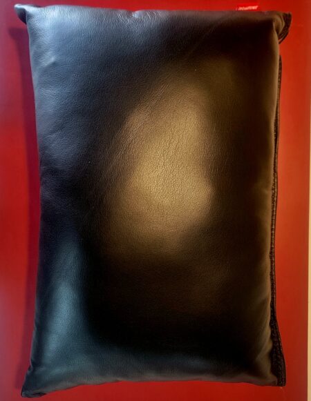 Leather Pillow